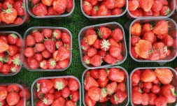 UK fruit and veg growing early thanks to climate change