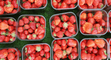 UK fruit and veg growing early thanks to climate change