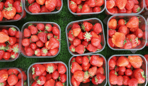 UK fruit and veg growing early thanks to climate change