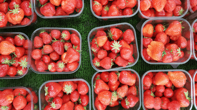 UK fruit and veg growing early thanks to climate change