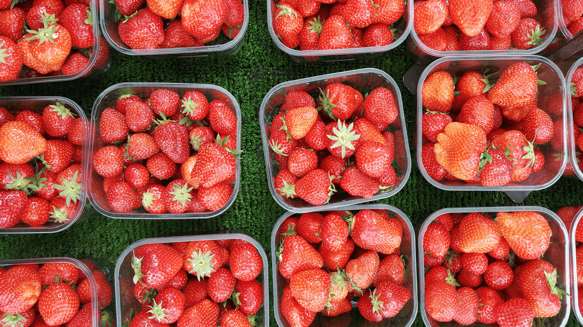 UK fruit and veg growing early thanks to climate change