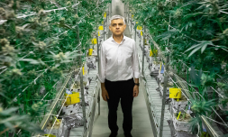 Is London about to legalise cannabis?