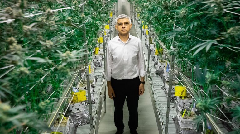 Is London about to legalise cannabis?