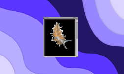 deep sea discoveries + male friendship histories