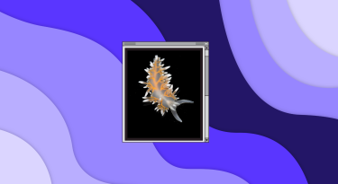 deep sea discoveries + male friendship histories