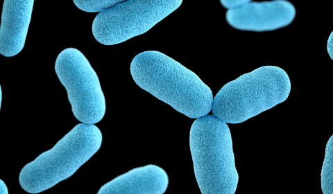 New gonorrhoea vaccine to roll out in UK as cases rise