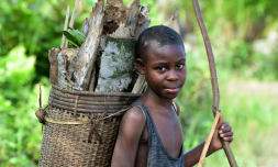 Report reveals Africa’s child labour crisis has worsened