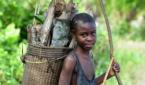 Report reveals Africa’s child labour crisis has worsened