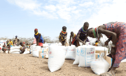 Why Africa must step up following USAID withdrawal