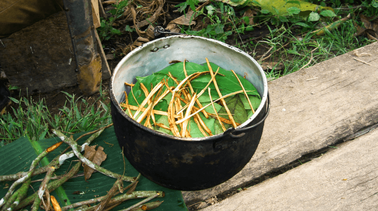The rise in ayahuasca tourism is colonising wellness