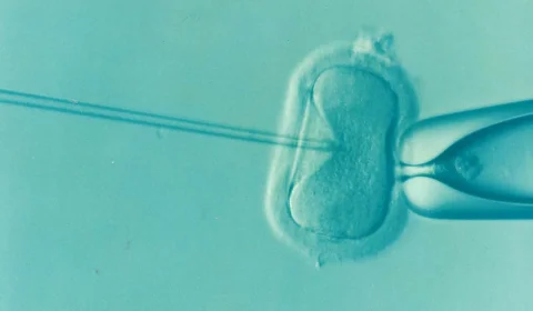 UK treads genetic grey area with three-person IVF milestone