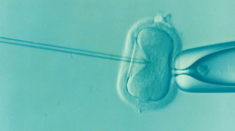 UK treads genetic grey area with three-person IVF milestone