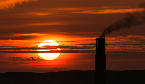 Should permanent taxes on fossil fuel profits be enforced globally? Should permanent taxes on fossil fuel profits be enforced globally?