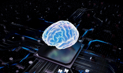 Mini brain cells could be used to power future computers