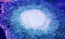 Nord Stream allegations aren’t likely to falter Europe’s support for Ukraine