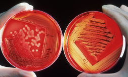 Is menstrual blood the future of female healthcare?