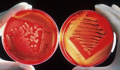 Is menstrual blood the future of female healthcare?