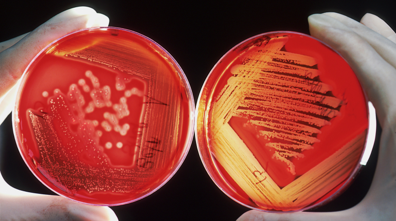 Is menstrual blood the future of female healthcare?