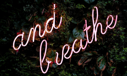 Should ‘work-life harmony’ replace ‘work-life balance’ as a lifestyle goal?