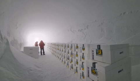 Antarctica inaugurates the world’s first ice sanctuary