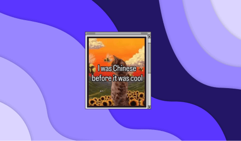 instagram trials premium + why everyone wants to be chinese instagram trials premium + why everyone wants to be chinese