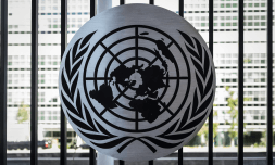 Illinois and New York opt back into WHO despite US withdrawal