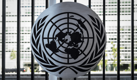 Illinois and New York opt back into WHO despite US withdrawal