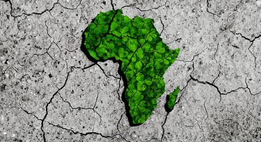 Will carbon markets help Africa or is the whole thing a myth?