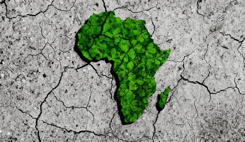 Will carbon markets help Africa or is the whole thing a myth? Will carbon markets help Africa or is the whole thing a myth?