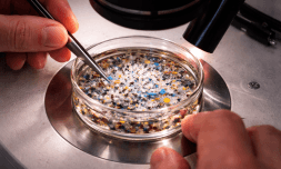 There are microplastics in women’s ovaries now There are microplastics in women’s ovaries now