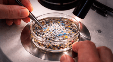 There are microplastics in women’s ovaries now
