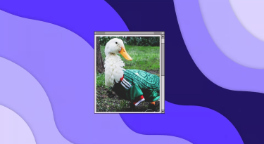 viral Vinted allegations + Merlin the World Cup duck