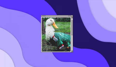 viral Vinted allegations + Merlin the World Cup duck