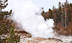 Could white hydrogen discovery fast-track global shift to clean energy?