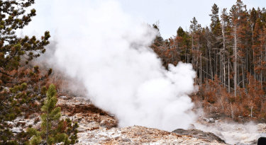 Could white hydrogen discovery fast-track global shift to clean energy? Could white hydrogen discovery fast-track global shift to clean energy?