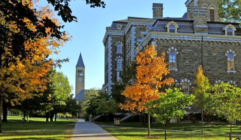 US prosecutors reopen Cornell University gang rape case US prosecutors reopen Cornell University gang rape case