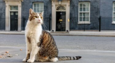 Booking.com vulnerability exposed by fake Downing Street listing