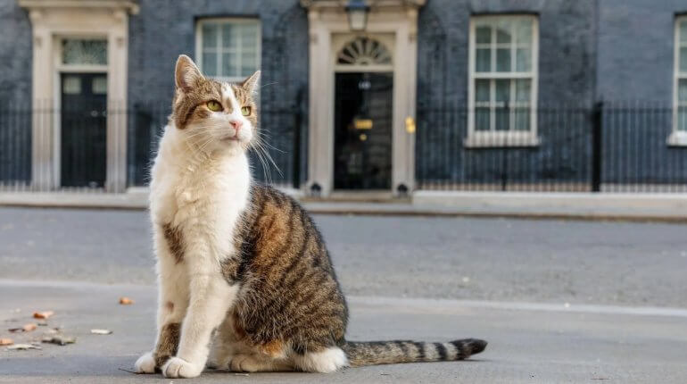 Booking.com vulnerability exposed by fake Downing Street listing Booking.com vulnerability exposed by fake Downing Street listing