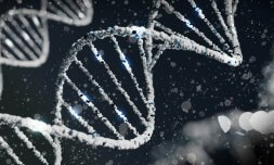 Google’s SynthID to stop AI organisms from slipping through the cracks Google’s SynthID to stop AI organisms from slipping through the cracks