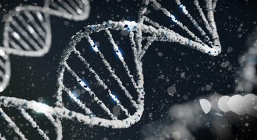 Google’s SynthID to stop AI organisms from slipping through the cracks Google’s SynthID to stop AI organisms from slipping through the cracks