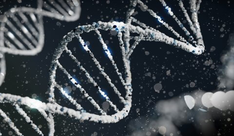 Google’s SynthID is stopping AI organisms from slipping through the cracks