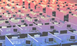 Is Gen Z bringing back the office cubicle?