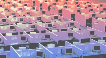 Is Gen Z bringing back the office cubicle? Is Gen Z bringing back the office cubicle?