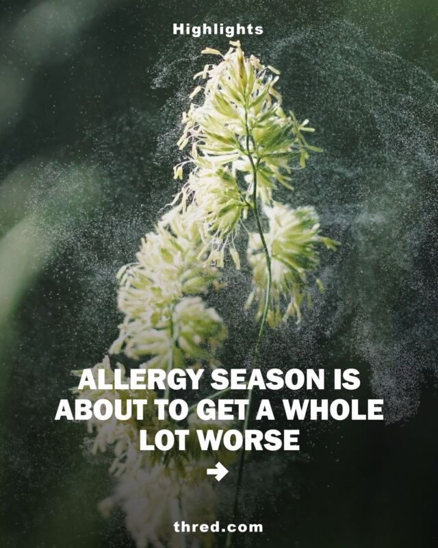 Due to rising global temperatures, allergy season is starting earlier, lasting longer, and pollen counts are on the up, leading to much worse symptoms for some and new ones altogether for others.

Follow for more like this and check out the full article at thred.com

#climatechange #seasons #globalwarming #allergies