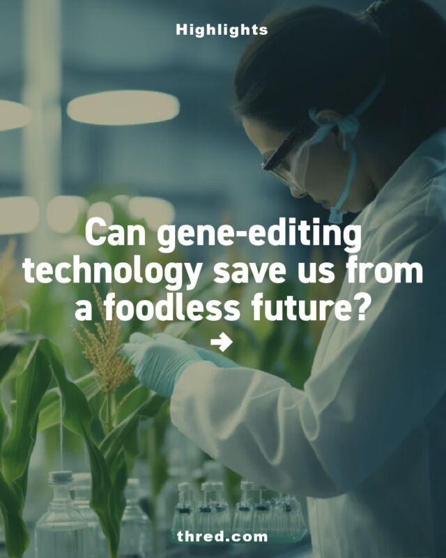 Feeding a population of more than 8 billion people in a world stricken by an unpredictable climate will be a challenge we are forced to face in the near future.

Do you think gene-editing technology can save us from a foodless future?

#dna #geneediting #tech #technology #foodtech #future #climatechange