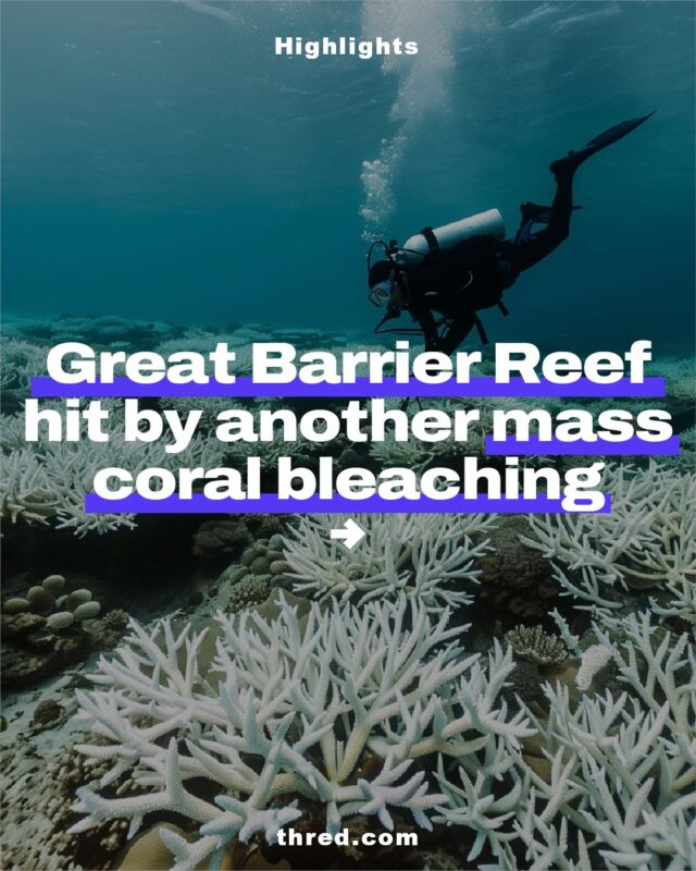 In a grim announcement on Friday, the Australian Institute of Marine Science (AIMS) and the Great Barrier Reef Marine Park Authority revealed that widespread damage had occurred at this UNESCO World Heritage site.

To find out more, check out the full articles at thred.com

#greatbarrierreef #ocean #world #unesco #australia #climatechange #socialchange #genz