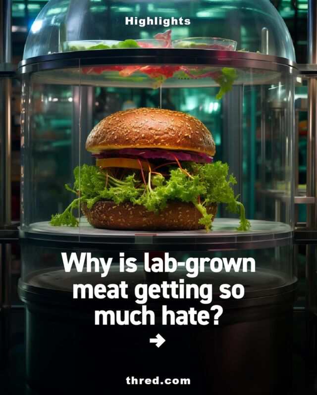 Is lab-grown meat safer than farmed meat?

#meat #labgrown #farm #ethics #ethical