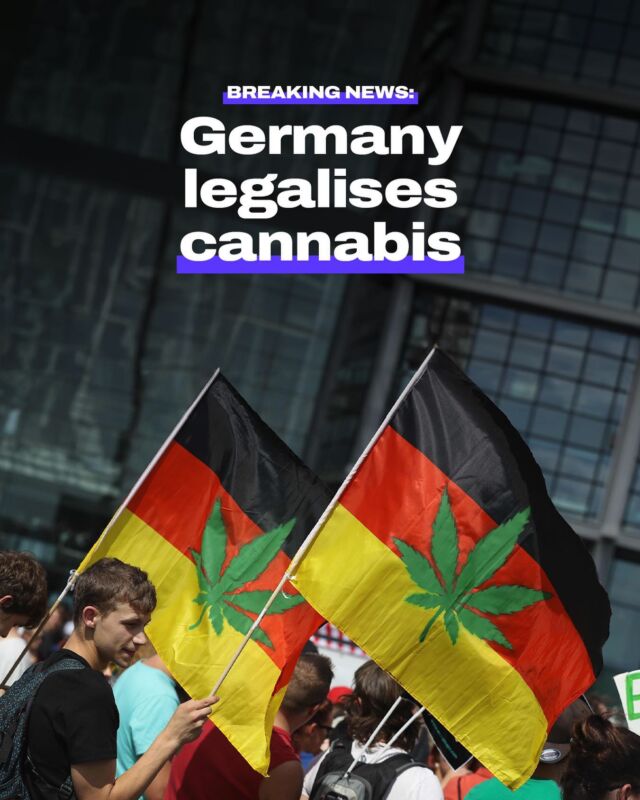 Big news from Germany 🇩🇪🌿 Cannabis is legal, but there’s a catch: while possession for over-18s is allowed, getting your hands on it won’t be easy. With public smoking spots expanding but “cannabis social clubs” tightly regulated, Germany’s balancing act aims to snuff out the black market without sparking a free-for-all. Will it work, or are we just seeing smoke? 🚬🔍   #GermanyGoesGreen #CannabisComplexity #LegalLimits