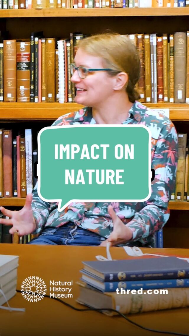 What can we do to have a positive impact on nature?

#activists #nature #positiveimpact #generationhope #activism #environment #ecosystems 

Tagged: @nationalhistorymuseum