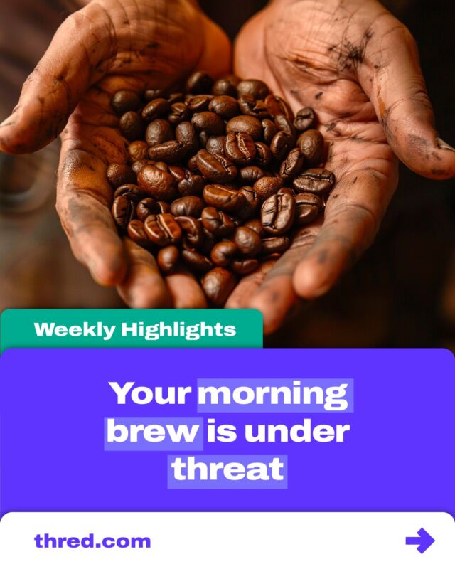 Climate alert for coffee lovers! 🌍☕ Rising temps are cutting yields and hiking prices. By 2050, half the coffee-growing land could vanish. Act now to protect the brew and livelihoods of 120 million people! 

To find out more, check out the full article at thred.com

#ClimateAction #CoffeeCrisis #coffee #climatechange #globalwarming